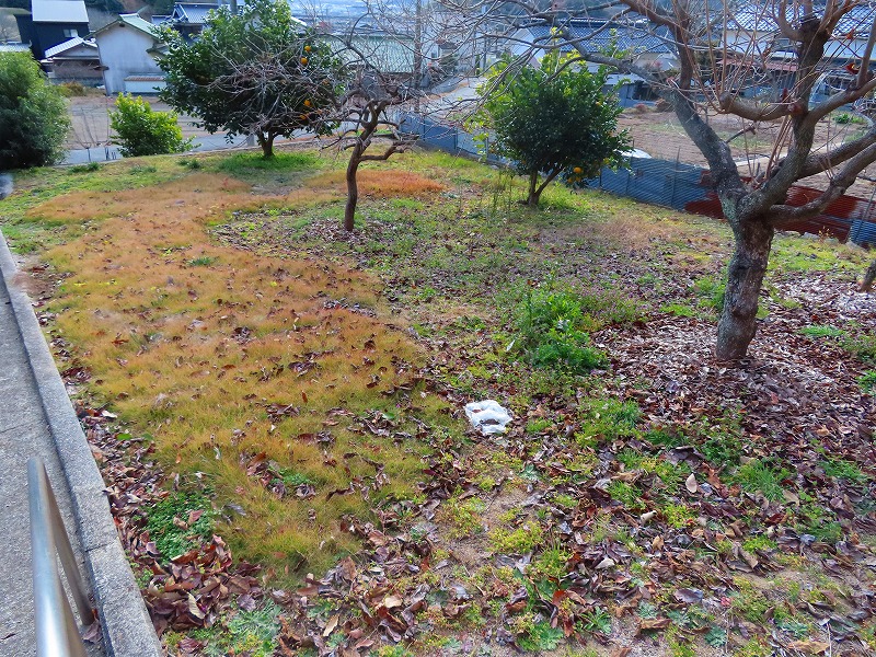 東三成3194番地2