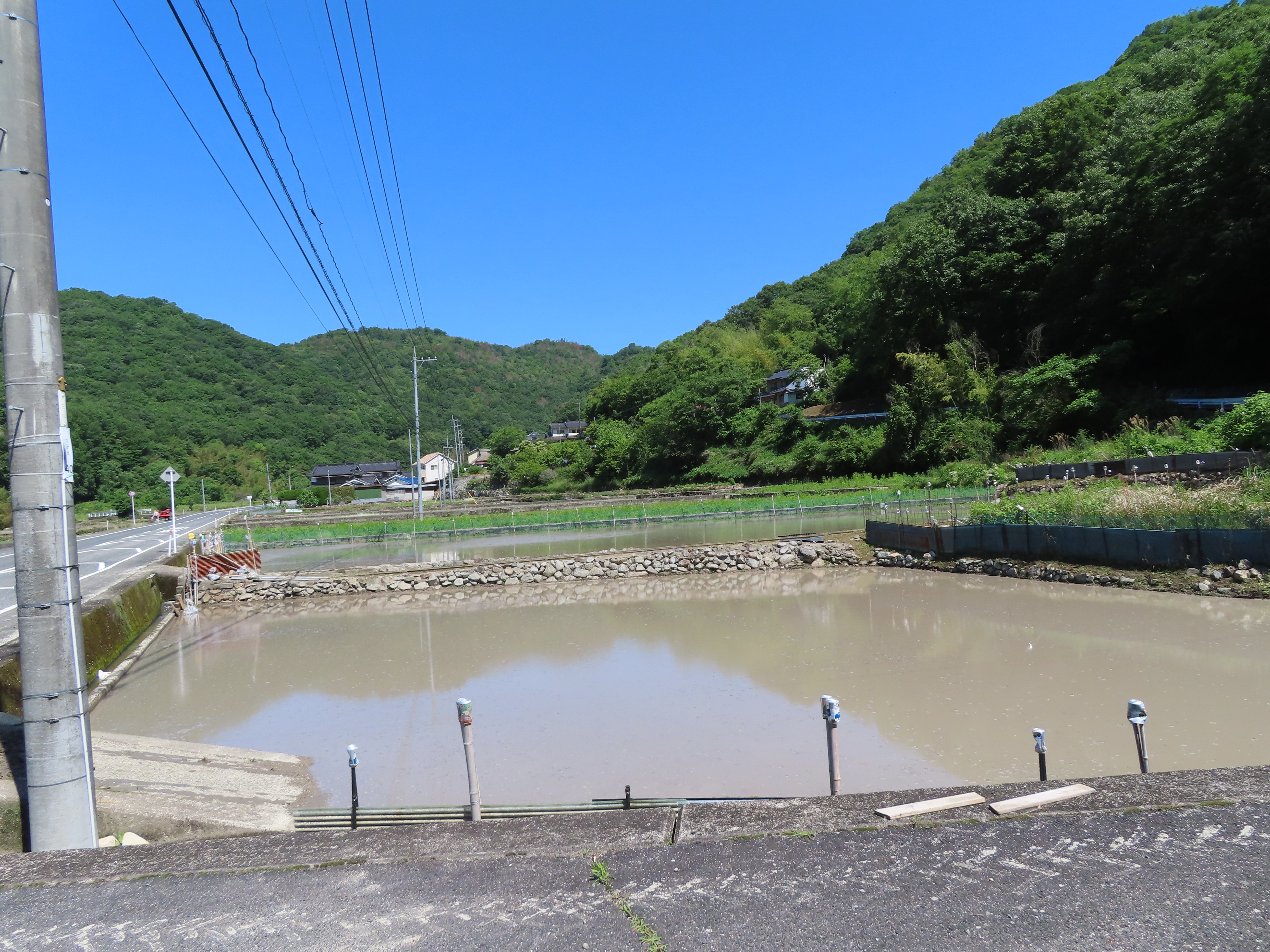 西川面2137番地1・西川面2138番地1・西川面2159番地1
