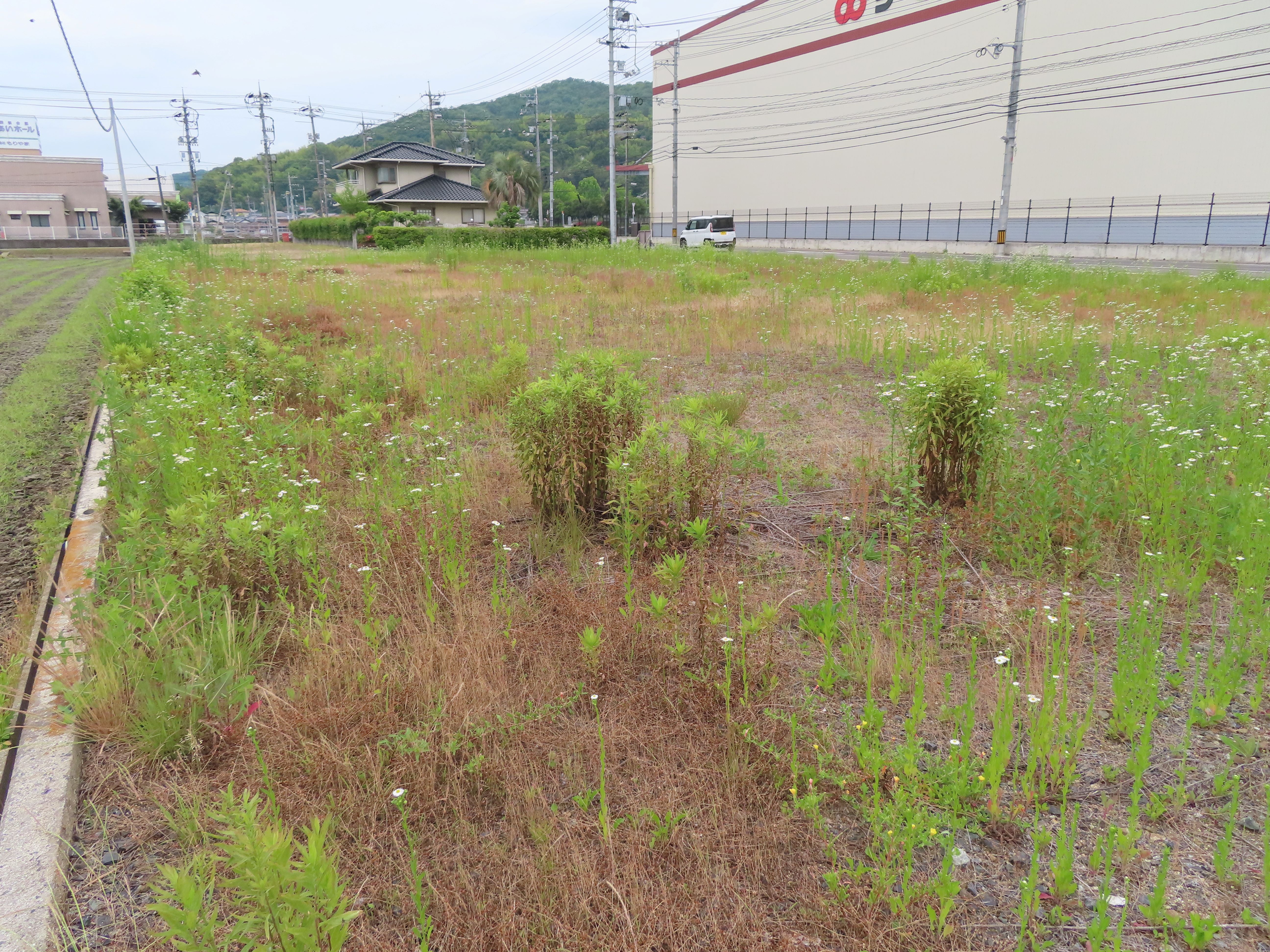 22　川面地区売却物件