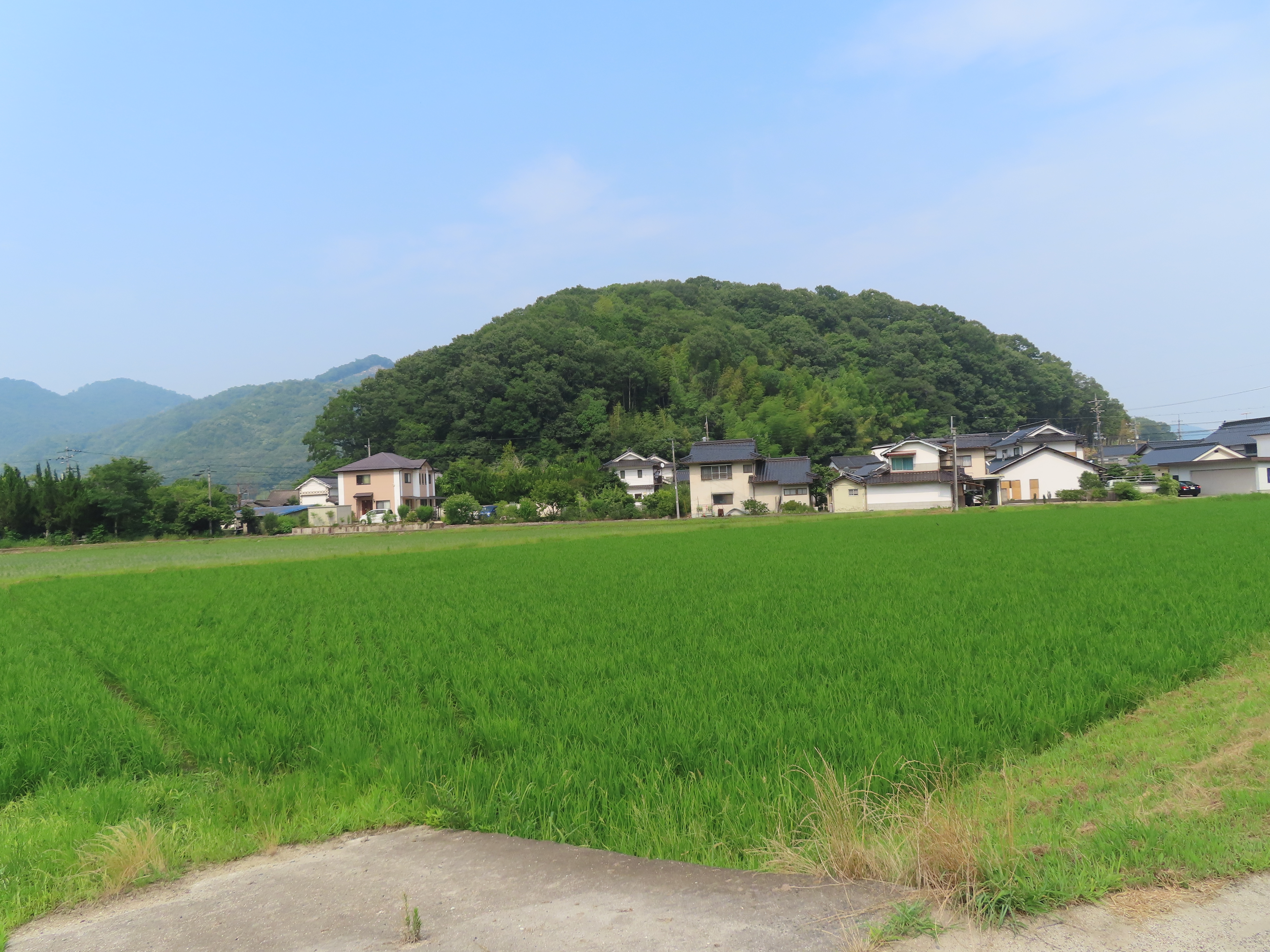 小林512番地1