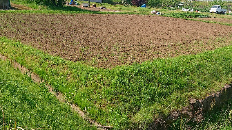 東川面293番地1